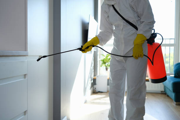 Best Industrial Mold Remediation in Waldo, FL
